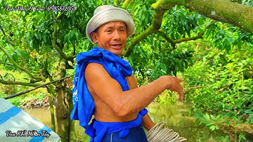 Vua Khỉ Cắt Cây Bàng Gai Khủng😨