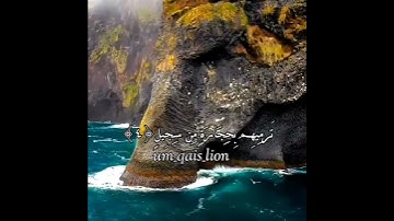 سورة الفيل 🍃😍القارئ محمد العجمي ♡حالات واتس اب دينية ♡مقاطع اسلامية قصيرة♡ستوريات انستغرام ♡