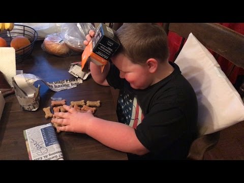 bryce's-6th-birthday-dog-biscuit-present-prank...-happy-6th-birthday-bryce---april-2017