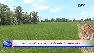 Nguy cơ thiếu nước phục vụ sản xuất lúa do hạn, mặn