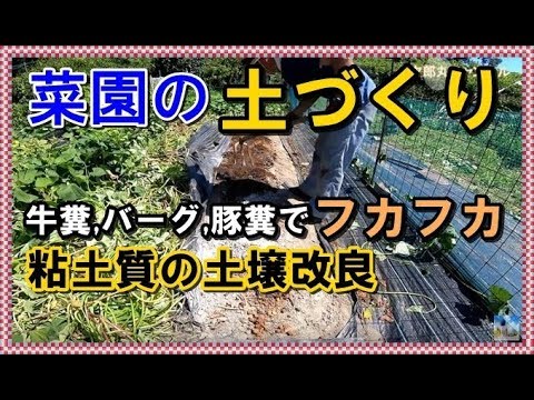 菜園 土づくり 粘土質土壌 土壌改良 堆肥をたっぷり鍬こんでフカフカの畑に Youtube