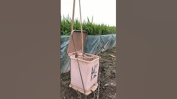 I made bird traps out of trash cans