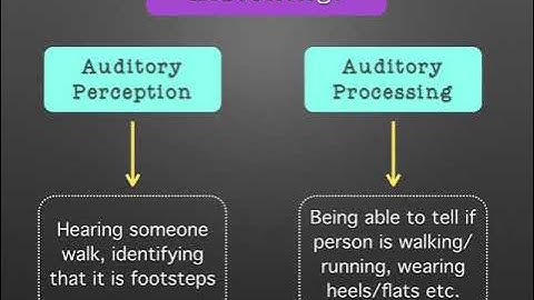 Early Literacy: Oral Language