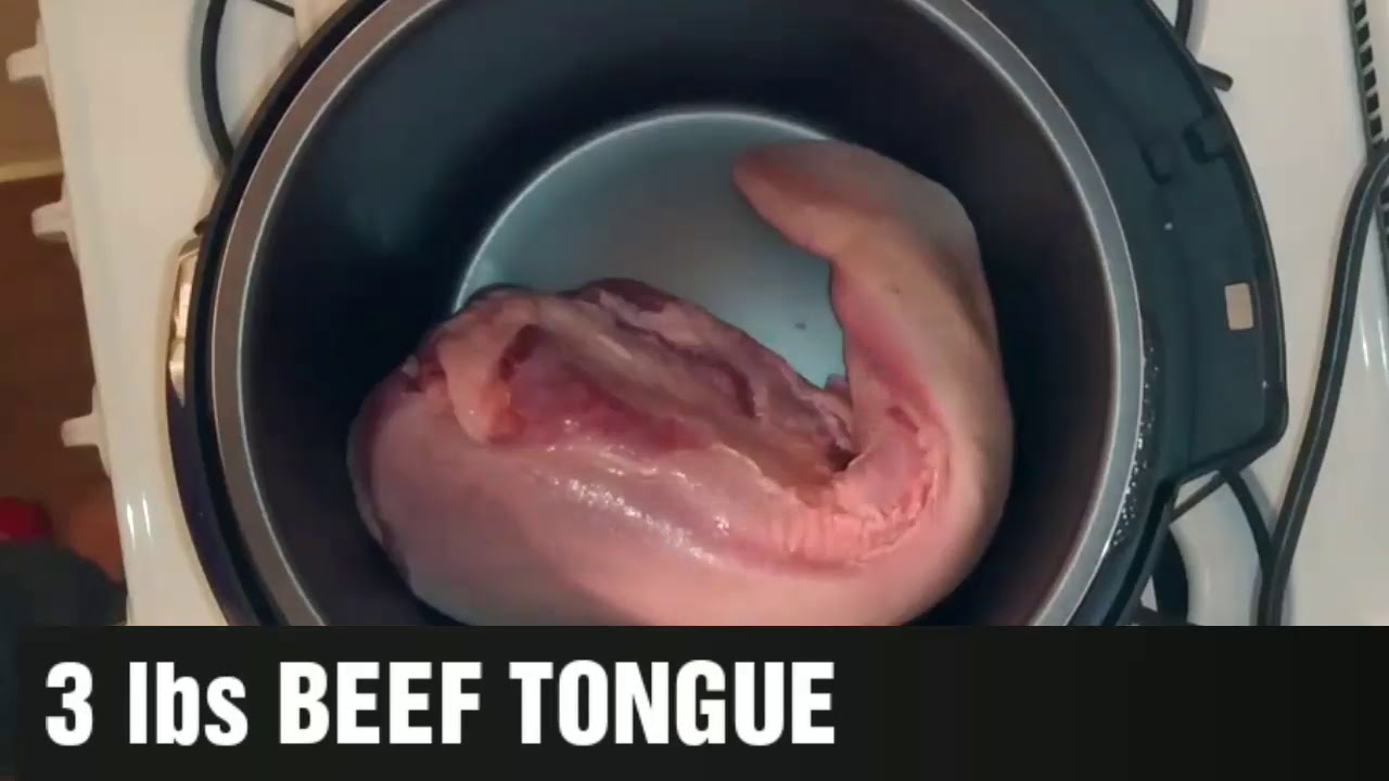 1.22 MB] Instant Pot Beef Tongue, Download Mp3/Mp4 ~3464 | COLPOST - 