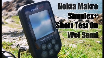 Nokta Makro Simplex On Very Wet Beach Sand