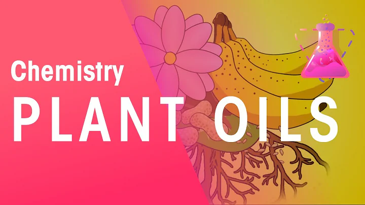 The Extraction Of Plant Oils | Organic Chemistry | Chemistry | FuseSchool - DayDayNews