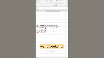 Excel Formula Tutorial: Calculate Days Remaining & Workdays (Excel Tips & Tricks)