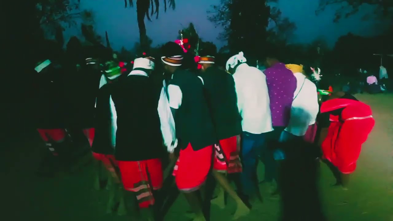 ट्राइबल जनजाति शादी में रेला नाचते हुए#trending #dance #youtuber #गोंडीडांस #love