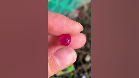 ruby Yên Bái 3.1ct lên nhẫn nam nữ đẹp #gem #ruby #gemstone #sapphire #love #blackpink
