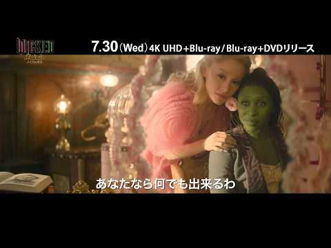 ウィキッド　ふたりの魔女　 ナムコ　 ３１点まとめ売り wicked-320x320.jpg