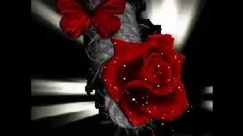 حالات واتس اب سورة الم نشرح لك صدرك