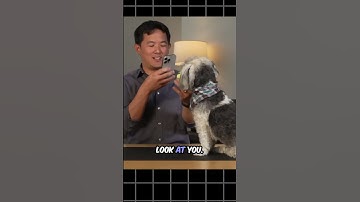 Dog Meets GPT 4o 😁