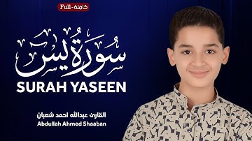 Surah Yaseen | by Abdullah Ahmed Shaaban سورة يس | القارئ عبدالله احمد شعبان