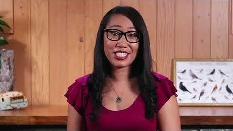 Kin-G Technologies | Launchpad Program | Google Digital Marketing Classes