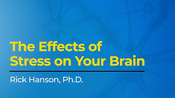 The Effects of Stress on Your Brain with Rick Hanson, Ph.D.