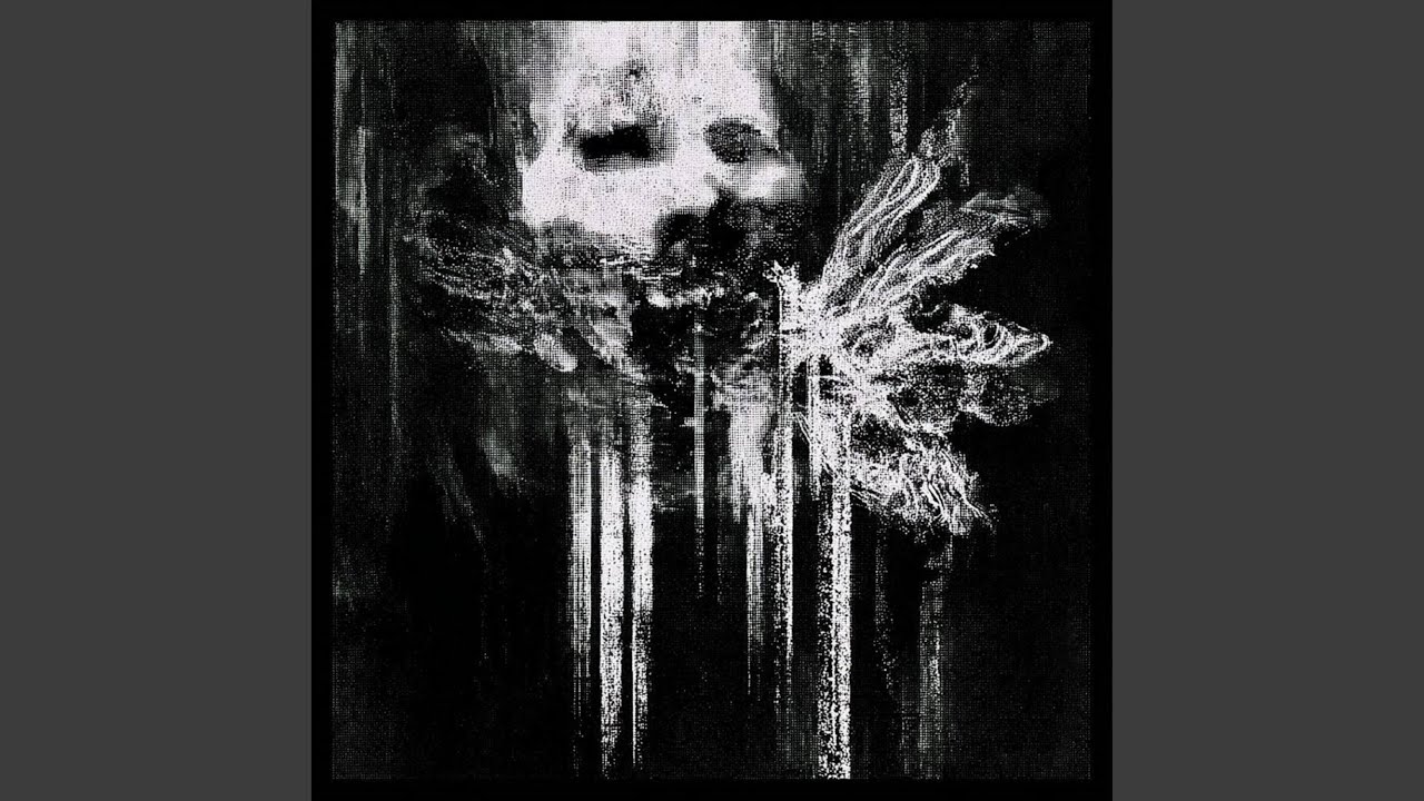 Watch ACIDATION. on YouTube Watch ACIDATION. on YouTube