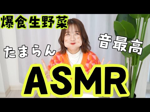 ASMR【爆食生野菜】咀嚼音