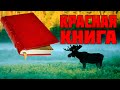 КАК ПОЯВИЛАСЬ КРАСНАЯ КНИГА