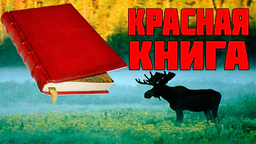 КАК ПОЯВИЛАСЬ КРАСНАЯ КНИГА