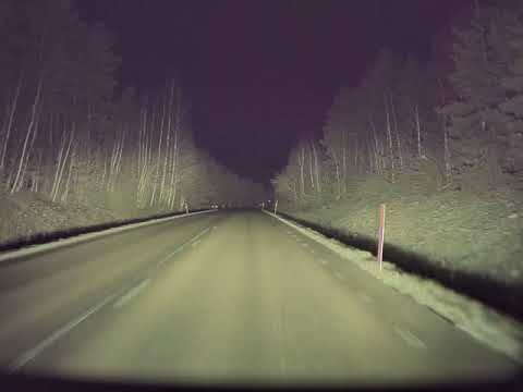 Video: Varför hoppar rådjur framför bilar?