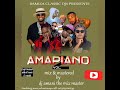 BONGO FLEVA MIXTAPE AMAPIANO VOlUME 2 NA Dj AMANI