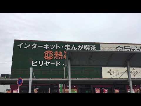 亜熱帯 西尾
