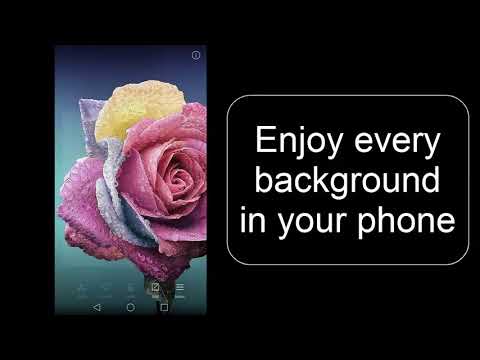 Rose Wallpapers And Backgrounds Hd Red Images Free Apps On Google Play