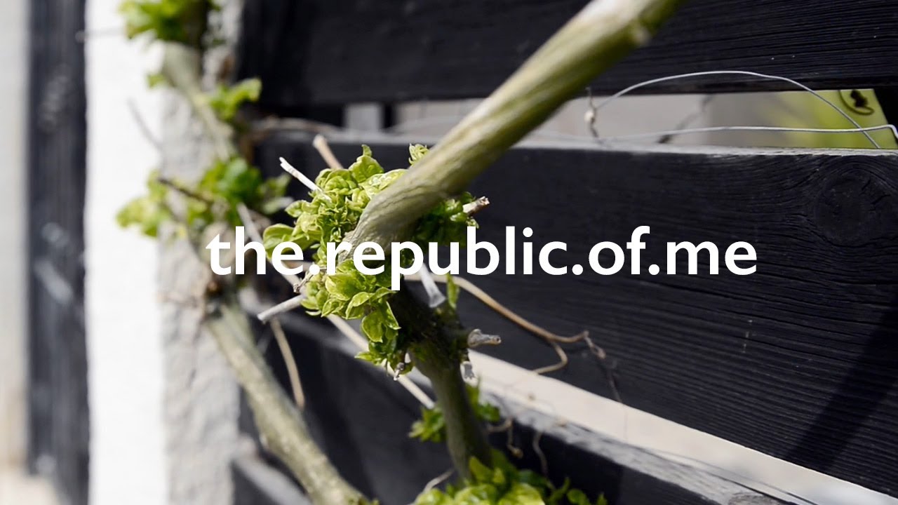 I think the spring has arrived / the republic of me fiber podcast + lifestyle vlog