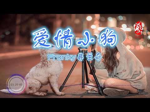 爱情小狗 - Franky弗兰奇 [无损音质】【动态歌词】