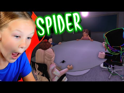 Madison Plays Spider