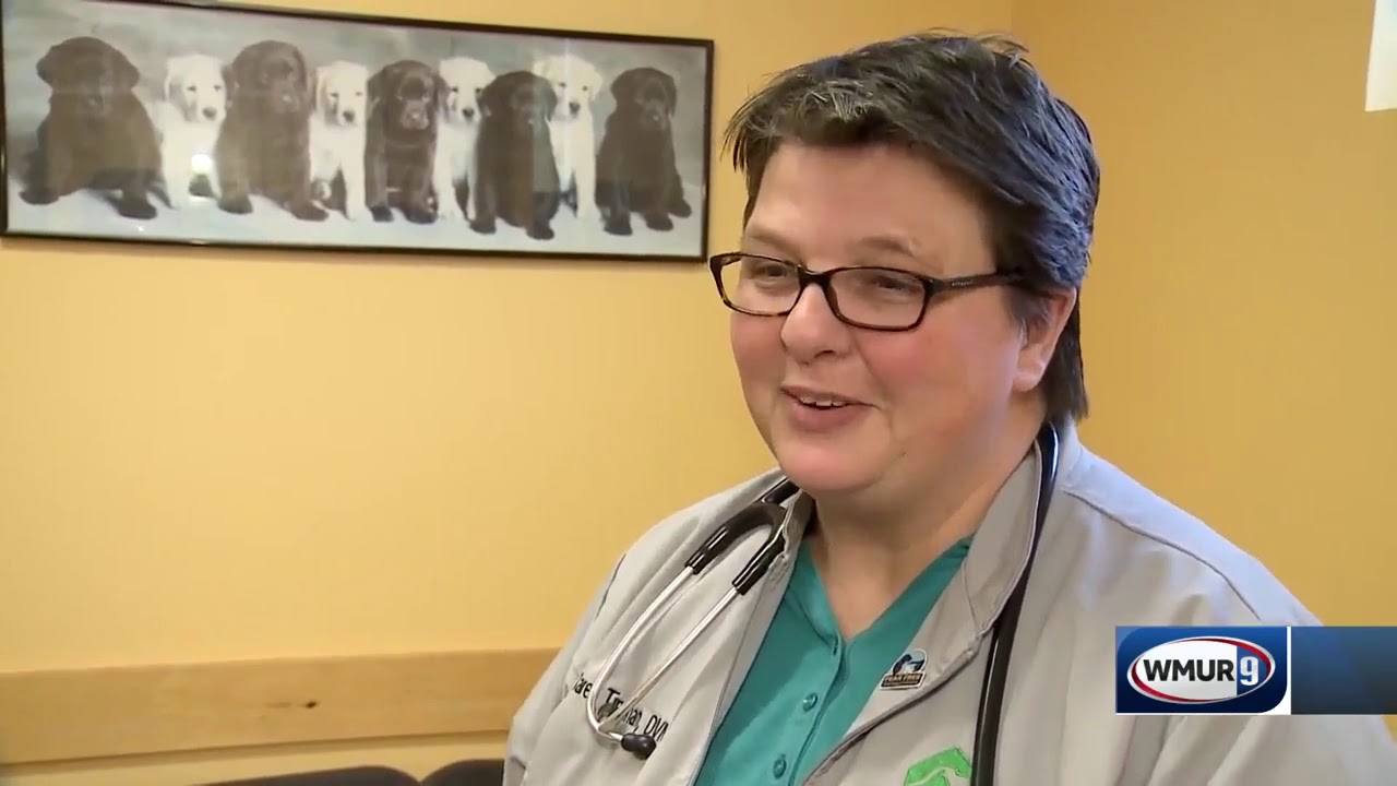 Free pet exams offered for furloughed federal workers YouTube