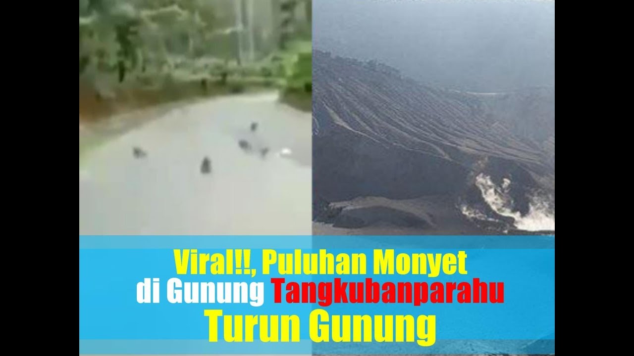 Viral Di Gunung Rowo / VIRAL Wisuda di Puncak Gunung, Sudah Direncanakan Sejak ... / Download ...