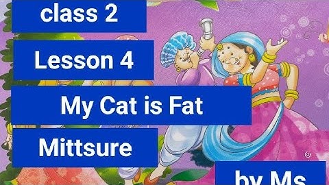class-2,lesson-4,My Cat is Fat,  Mittsure,line to line explanation by Mukesh soni