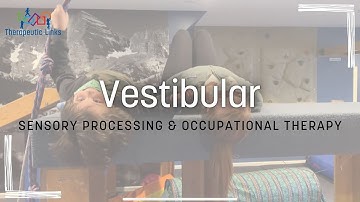 Vestibular | Sensory Processing & Pediatric Occupational Therapy