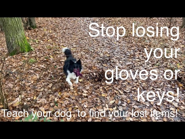 How to Find Your Missing Keys and Stop Losing Other Things - The