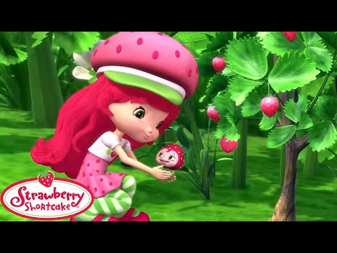 Charlotte aux Fraises 🍓 Le mini Petit-Pépin 🍓 Épisodes complets