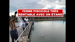 Ferme piscicole très rentable avec un seul étang // a profitable one-pond fish farm