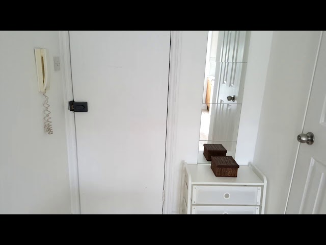 Video 1: