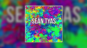 Sean Tyas - In Bloom (Extended Mix) [VII]