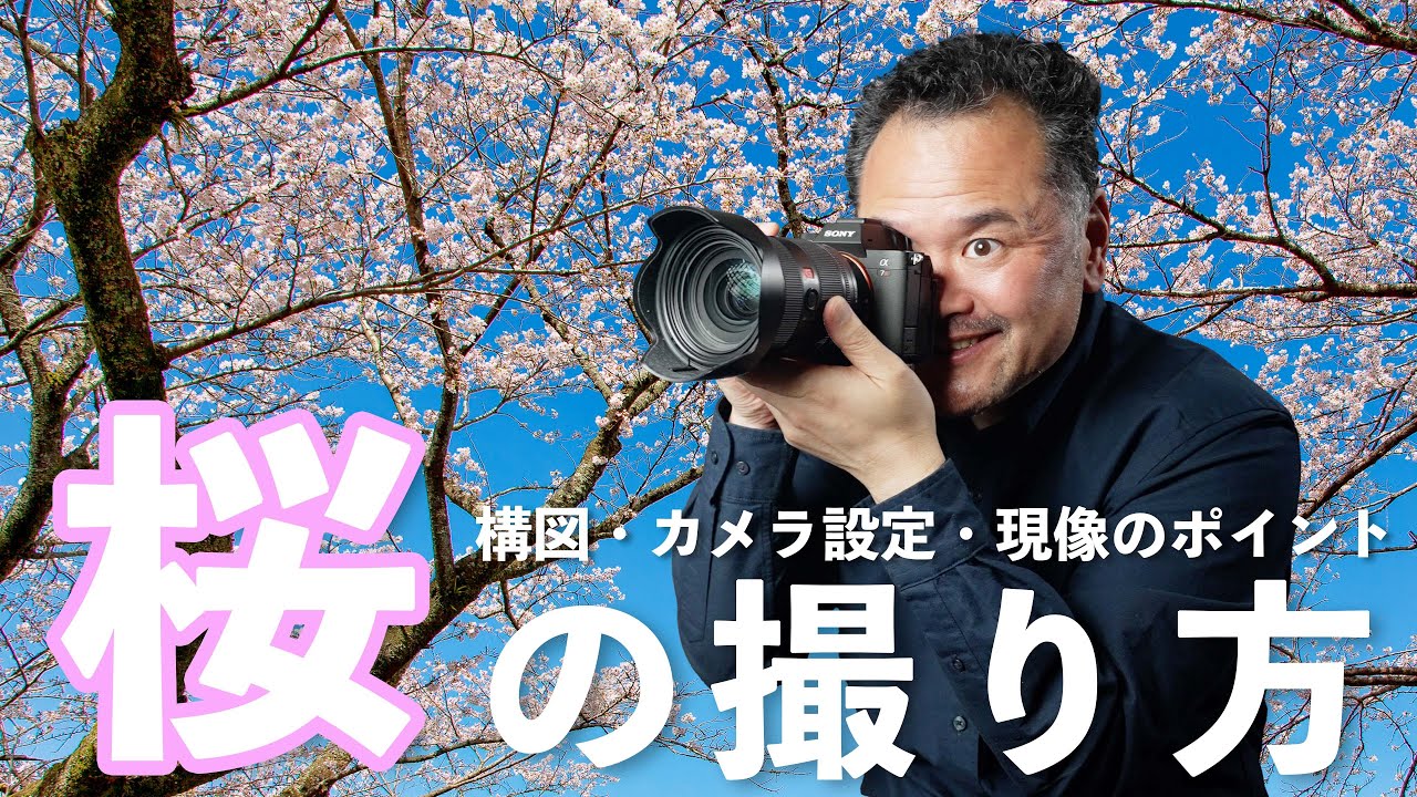 【桜の写真撮影】構図のアイデアとカメラ設定のポイント、RAW現像のコツまでご紹介します！
