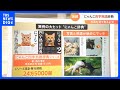 累計発行部数は24万5000部「にゃんこ四字熟語辞典」とは？【猫の日】｜TBS NEWS DIG