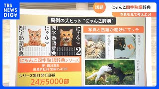 累計発行部数は24万5000部「にゃんこ四字熟語辞典」とは？【猫の日】｜TBS NEWS DIG