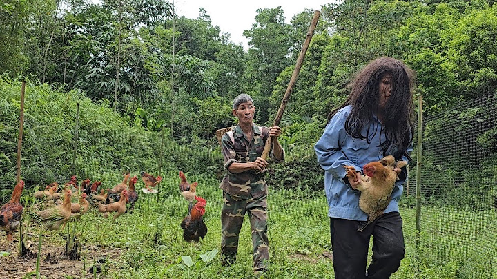 The homeless old man was stalked by bad guys on his farm and all his possessions were destroyed.