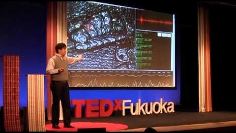 The Geek Approach to Sleep Apnea: Koichi Nakayama at TEDxFukuoka