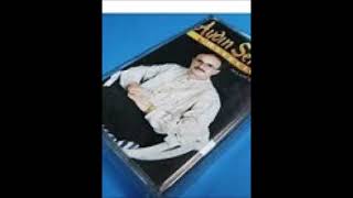 Birliğe Çağrı — Aydın Sercan kapak görseli