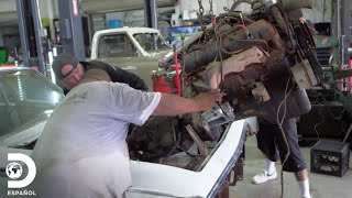 Iniciando la renovación de un auto clásico | Texas Metal | Discovery en español by Discovery en Español 1 view 1 minute ago 5 minutes, 22 seconds