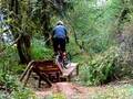 The Sliding Teeter Totter The Sliding Teeter Totter