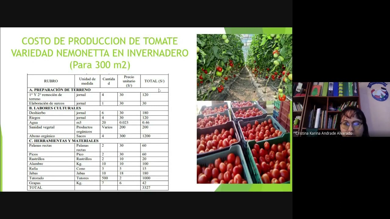 Costo De Produccion De Tomate En Invernadero