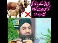 Qurbani Ke Janwar Ki Konsi Cheezen Khana Mana Hae Mufti Akmal Madani Sahib Qurbani Ke Janwar Ki Konsi Cheezen Khana Mana Hae Mufti Akmal Madani Sahib