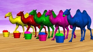 Learn Colors with Camel Finger Family Nursery Rhymes | Daddy Finger Songs For children